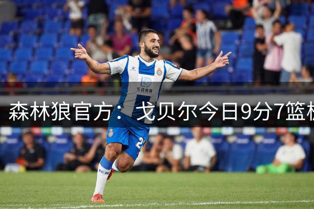 森林狼官方：戈贝尔今日9分7篮板2盖帽，并帮助法国取得胜利