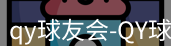 qy球友会